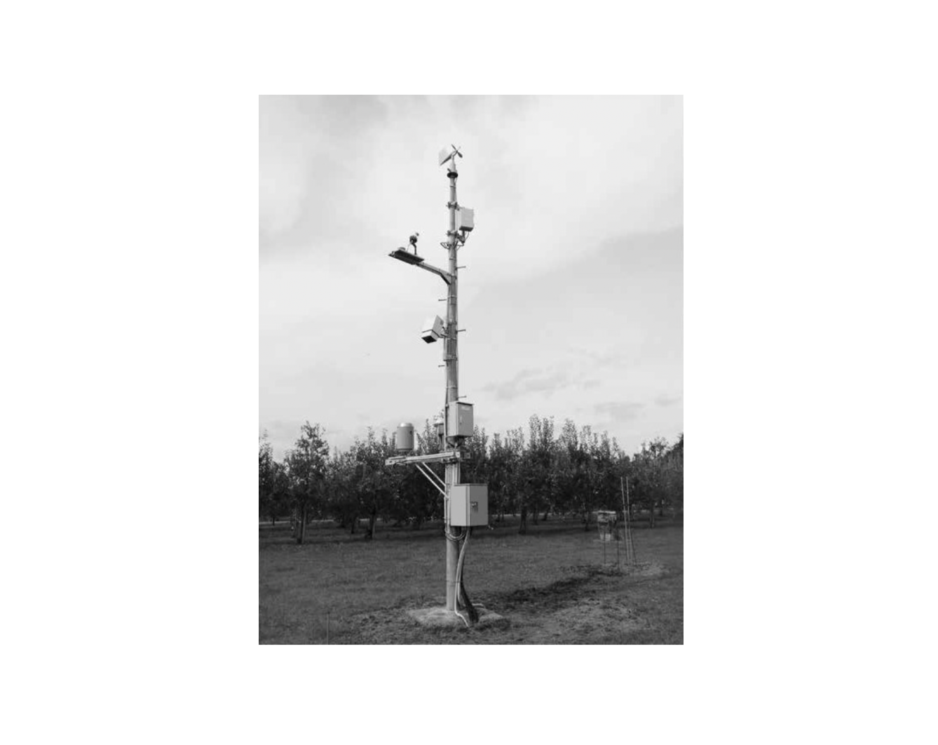 農業用気象観測システム AGC-100